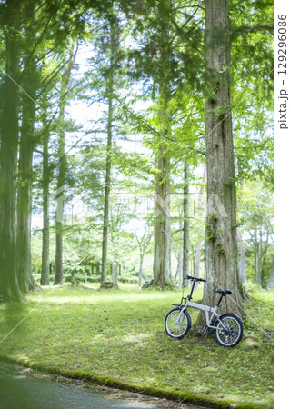 新緑・初夏のサイクリングイメージ (蒜山高原) 新緑・初夏のサイクリングイメージ (蒜山高原) 129296086