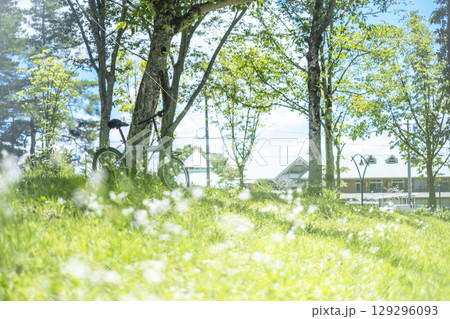新緑・初夏のサイクリングイメージ (蒜山高原) 新緑・初夏のサイクリングイメージ (蒜山高原) 129296093