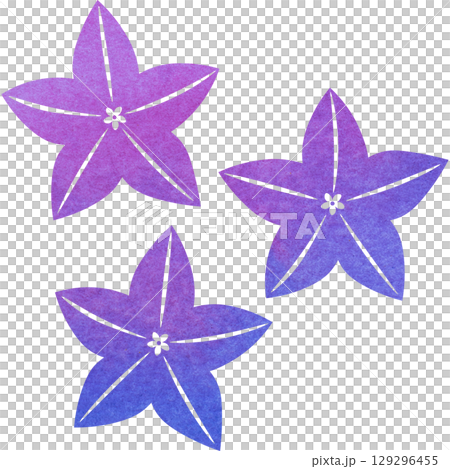綺麗な水彩模様の桔梗の花のアイコンのイメージのイラスト 綺麗な水彩模様の桔梗の花のアイコンのイメージのイラスト 129296455