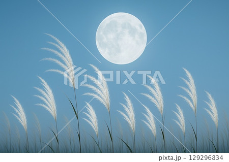 秋の満月とススキの幻想風景  季節感あふれる夜の自然素材 129296834