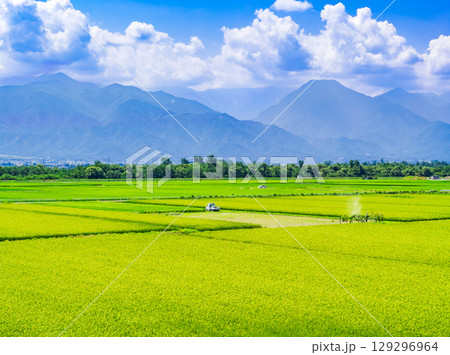夏の信州 安曇野の田園風景 夏の信州 安曇野の田園風景 129296964