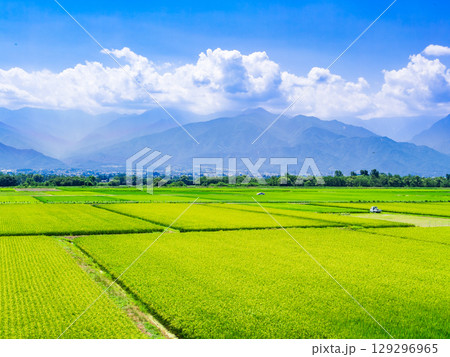 夏の信州 安曇野の田園風景 夏の信州 安曇野の田園風景 129296965