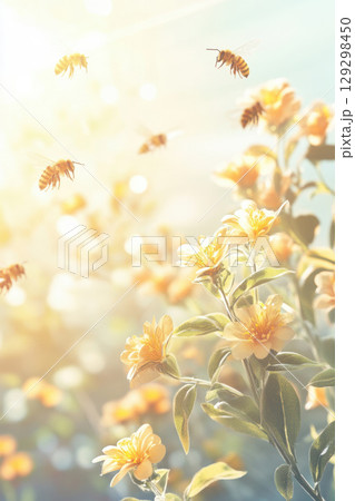 flowers bees background petals closeup bouquet 129298450