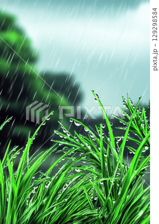 grassy field dewdrops sky closeup green 129298584