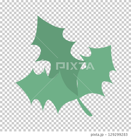 Holly illustration set 129299283