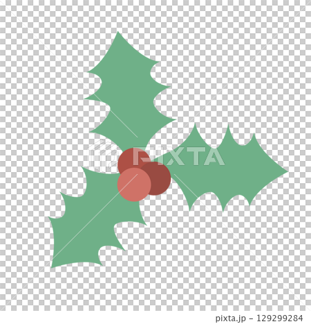 Holly illustration set Holly illustration set 129299284