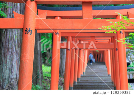 有子山稲荷神社　出石城 129299382