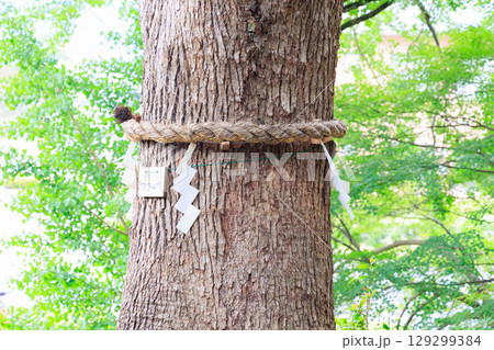 有子山稲荷神社 出石城 有子山稲荷神社 出石城 129299384