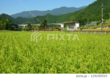 長良川鉄道赤池駅 長良川鉄道赤池駅 129299503
