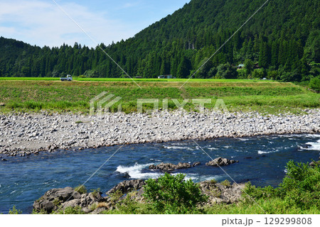 夏真っただ中の清流長良川と青田 夏真っただ中の清流長良川と青田 129299808