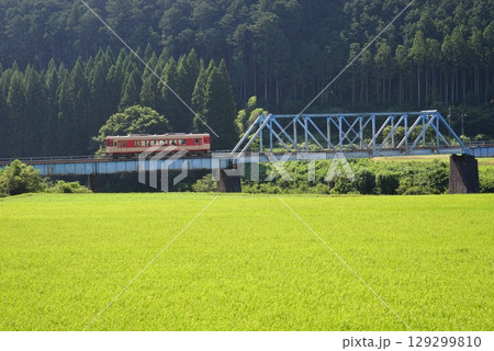 赤池駅と深戸駅の間の長良川の鉄橋をわたる長良川鉄道 赤池駅と深戸駅の間の長良川の鉄橋をわたる長良川鉄道 129299810
