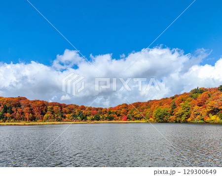 八幡平大沼(秋) 八幡平大沼(秋) 129300649