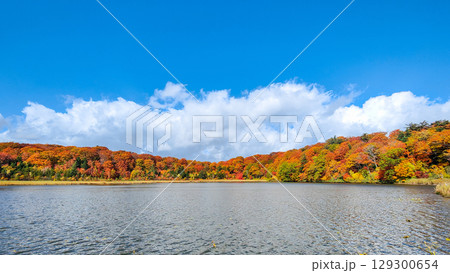 八幡平大沼(秋) 八幡平大沼(秋) 129300654