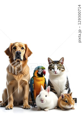 Fluffy Dog, Cat, Rabbit, Hamster, And Parrotのイラスト素材 [129300714] - PIXTA