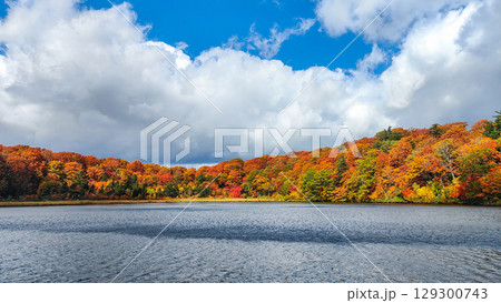 八幡平大沼(秋) 八幡平大沼(秋) 129300743