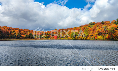 八幡平大沼(秋) 八幡平大沼(秋) 129300744