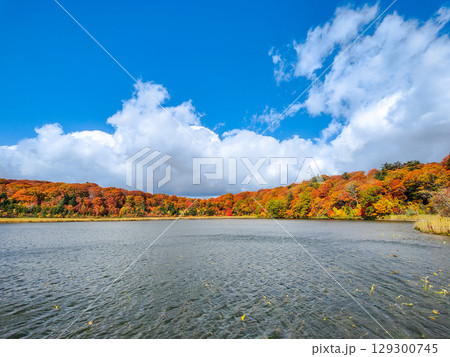 八幡平大沼(秋) 八幡平大沼(秋) 129300745