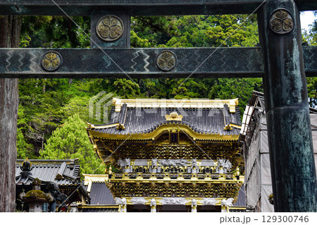 【栃木】歴史の重みを感じる日光東照宮の門 129300746