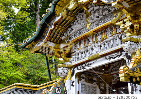 【栃木】歴史の重みを感じる日光東照宮の門 129300755