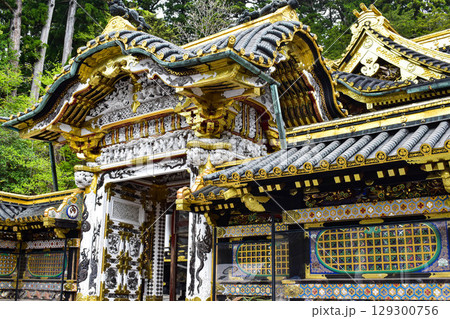 【栃木】歴史の重みを感じる日光東照宮の門 129300756