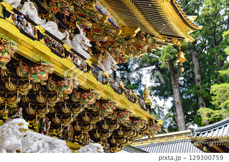 【栃木】歴史の重みを感じる日光東照宮の門 129300759