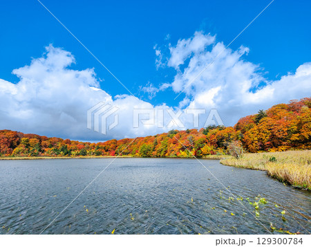 八幡平大沼(秋) 八幡平大沼(秋) 129300784