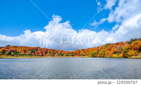 八幡平大沼（秋） 129300787