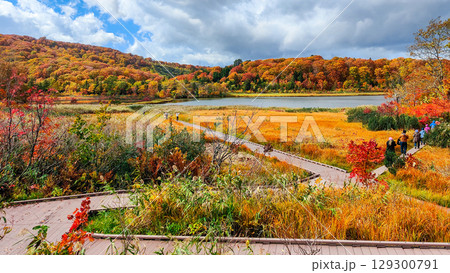 八幡平大沼（秋） 129300791
