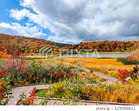 八幡平大沼(秋) 八幡平大沼(秋) 129300811