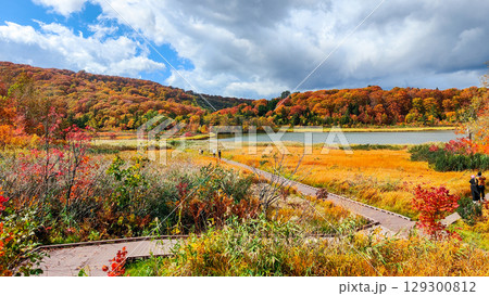 八幡平大沼(秋) 八幡平大沼(秋) 129300812