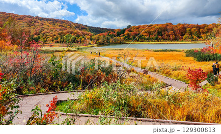 八幡平大沼（秋） 129300813