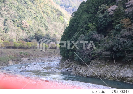 嵯峨野トロッコ列車からの眺め・保津川渓谷 嵯峨野トロッコ列車からの眺め・保津川渓谷 129300848