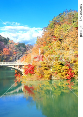 久米路峡の紅葉 久米路峡の紅葉 129300863