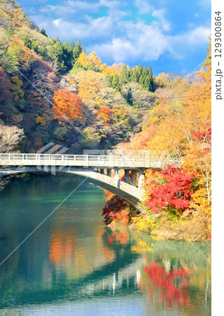 久米路峡の紅葉 久米路峡の紅葉 129300864