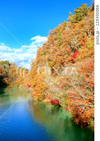 久米路峡の紅葉 129300866