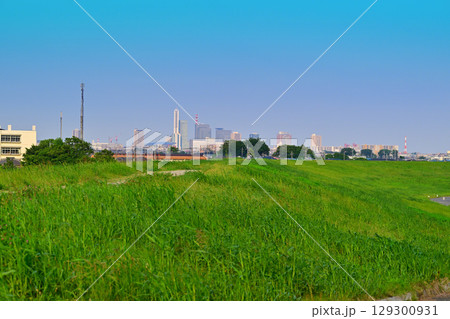 荒川土手からさいたま新都心方面ビル群の眺め 荒川土手からさいたま新都心方面ビル群の眺め 129300931