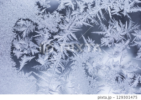 窓ガラスに付着した霜 窓ガラスに付着した霜 129301475