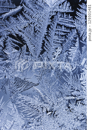 窓ガラスに付着した霜 窓ガラスに付着した霜 129301481