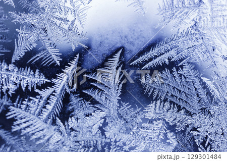 窓ガラスに付着した霜 窓ガラスに付着した霜 129301484