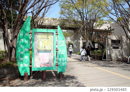 大阪市立長居植物園大阪市立自然史博物館 129301485