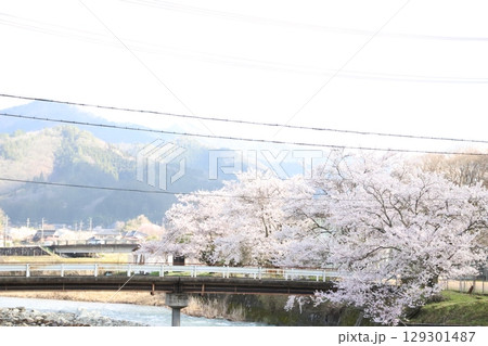 桜のある風景 129301487