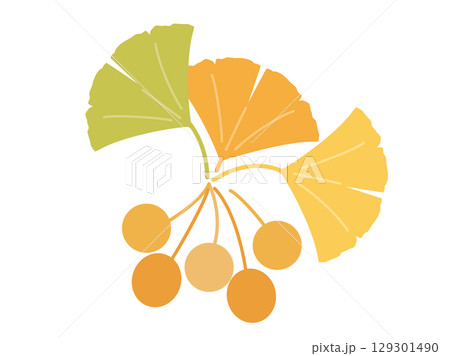 銀杏の葉とぎんなんの実をイメージした秋のイラスト 129301490