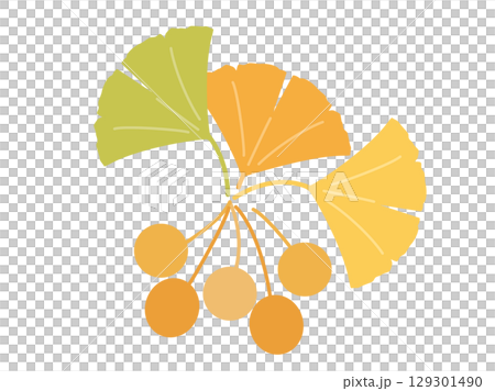 銀杏の葉とぎんなんの実をイメージした秋のイラスト 129301490