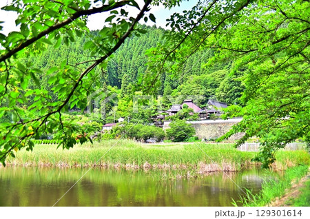 新緑の木々に囲まれた大雲寺 129301614