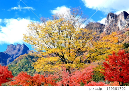妙義山の紅葉 妙義山の紅葉 129301792