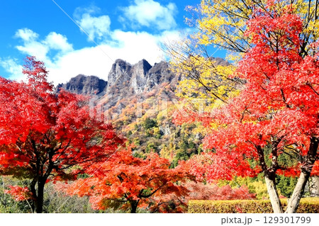 妙義山の紅葉 129301799