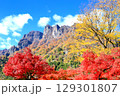 妙義山の紅葉 129301807