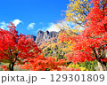 妙義山の紅葉 129301809