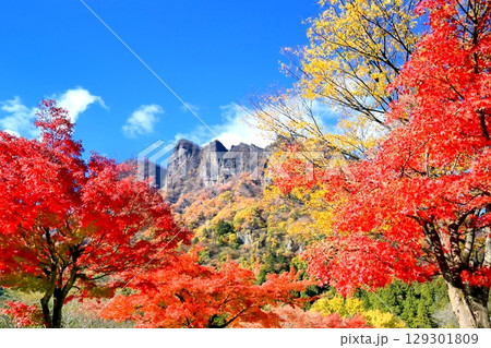 妙義山の紅葉 129301809