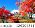 妙義山の紅葉 129301811
